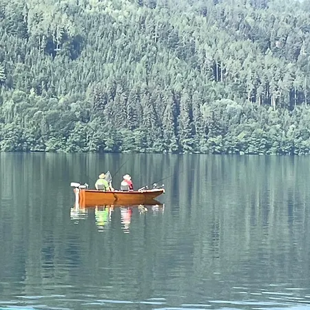 Domek alpejski Almvilla