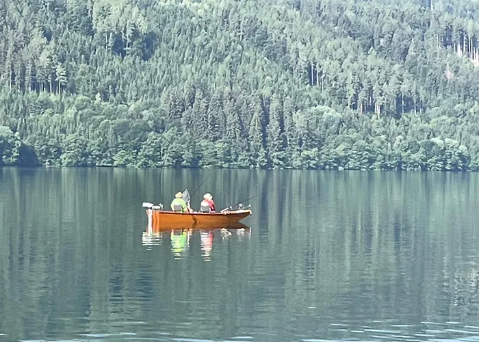 Domek alpejski Almvilla